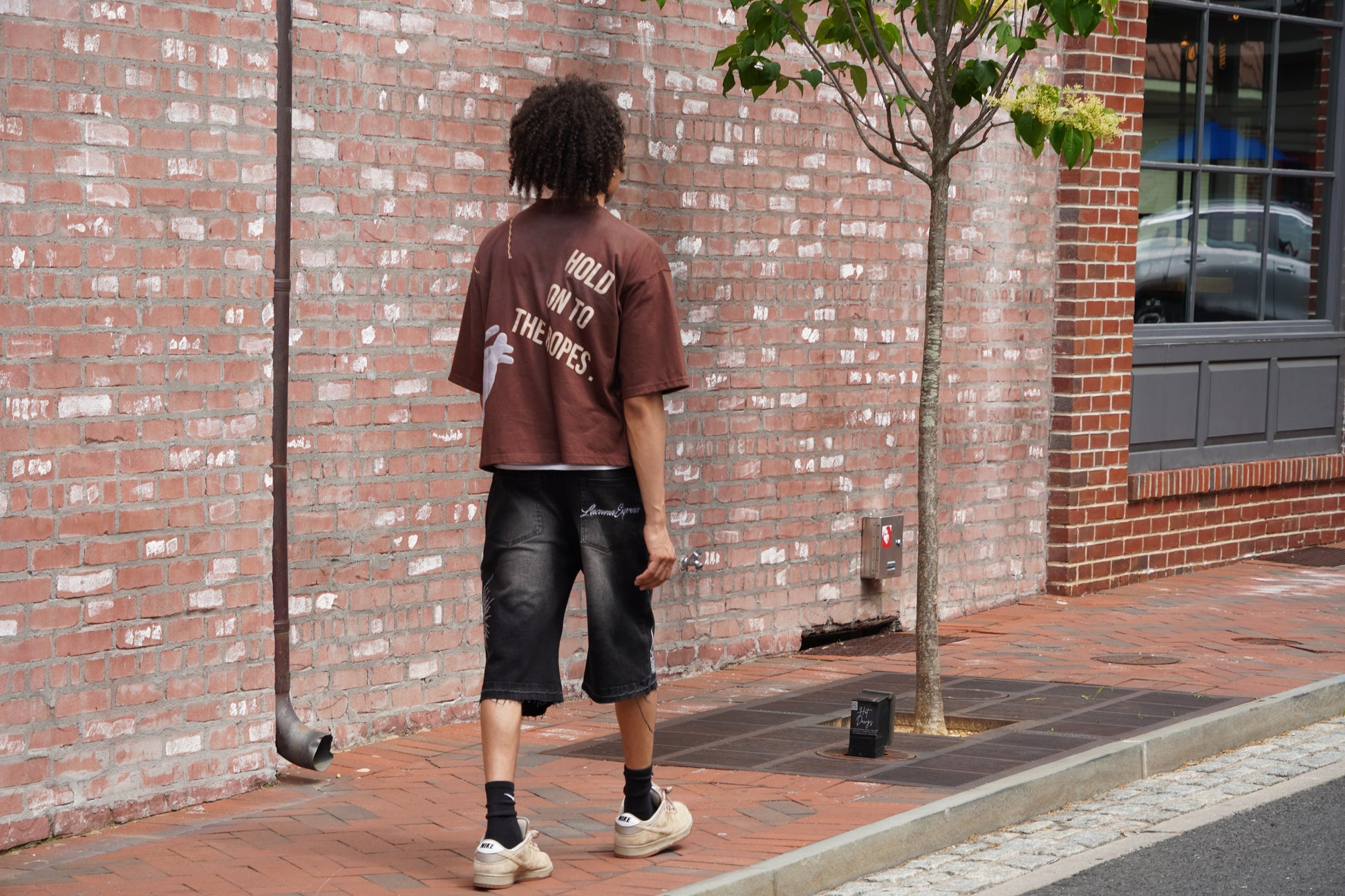 Suncatcher Cutoff Jorts