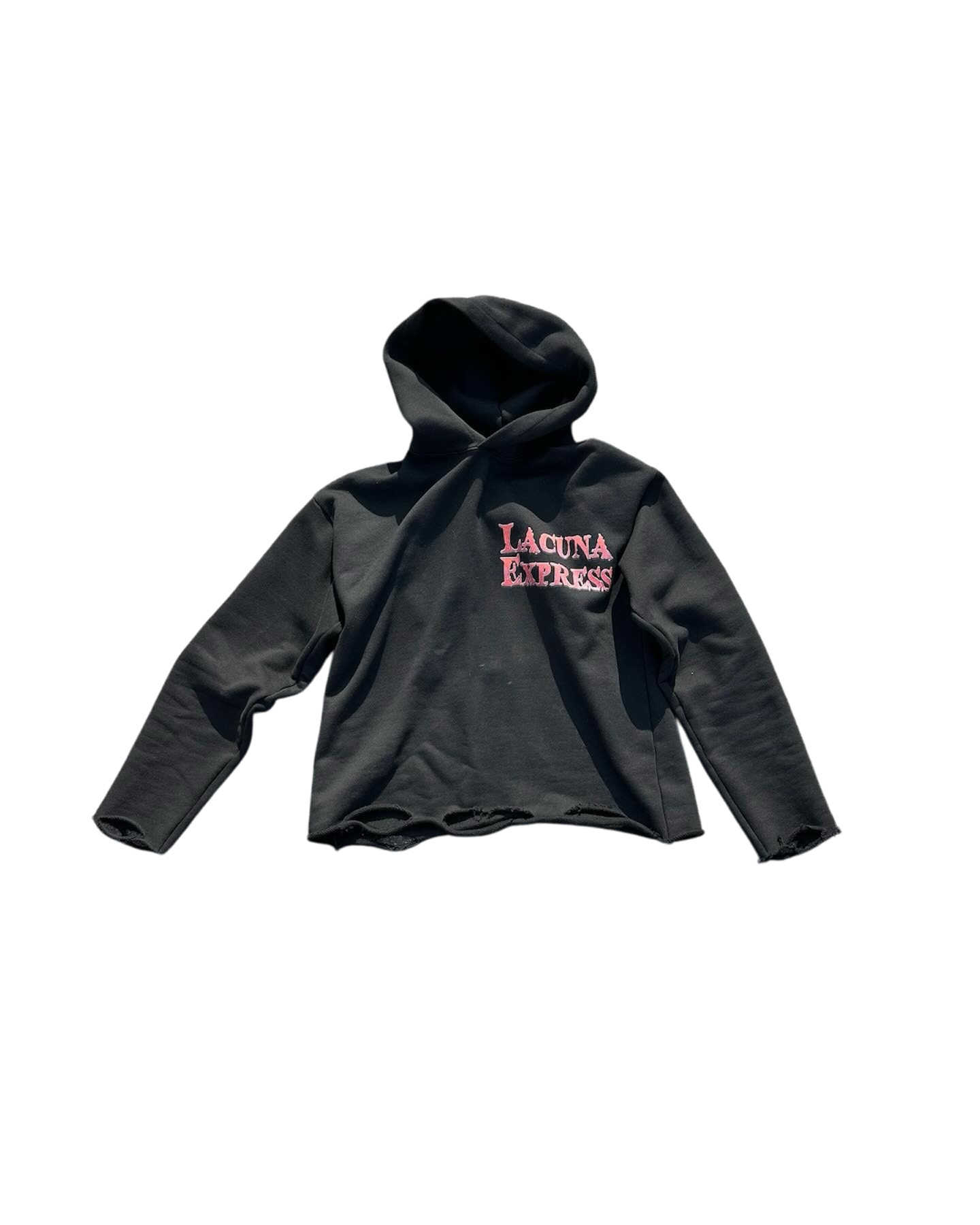 “Save Us” Cropped Hoodie