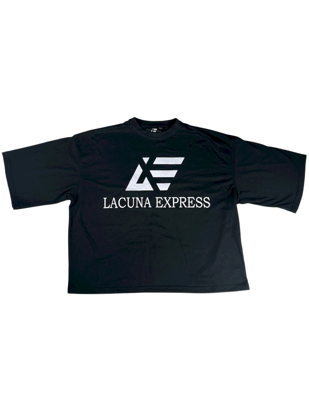LacunaExpress Logo Tee
