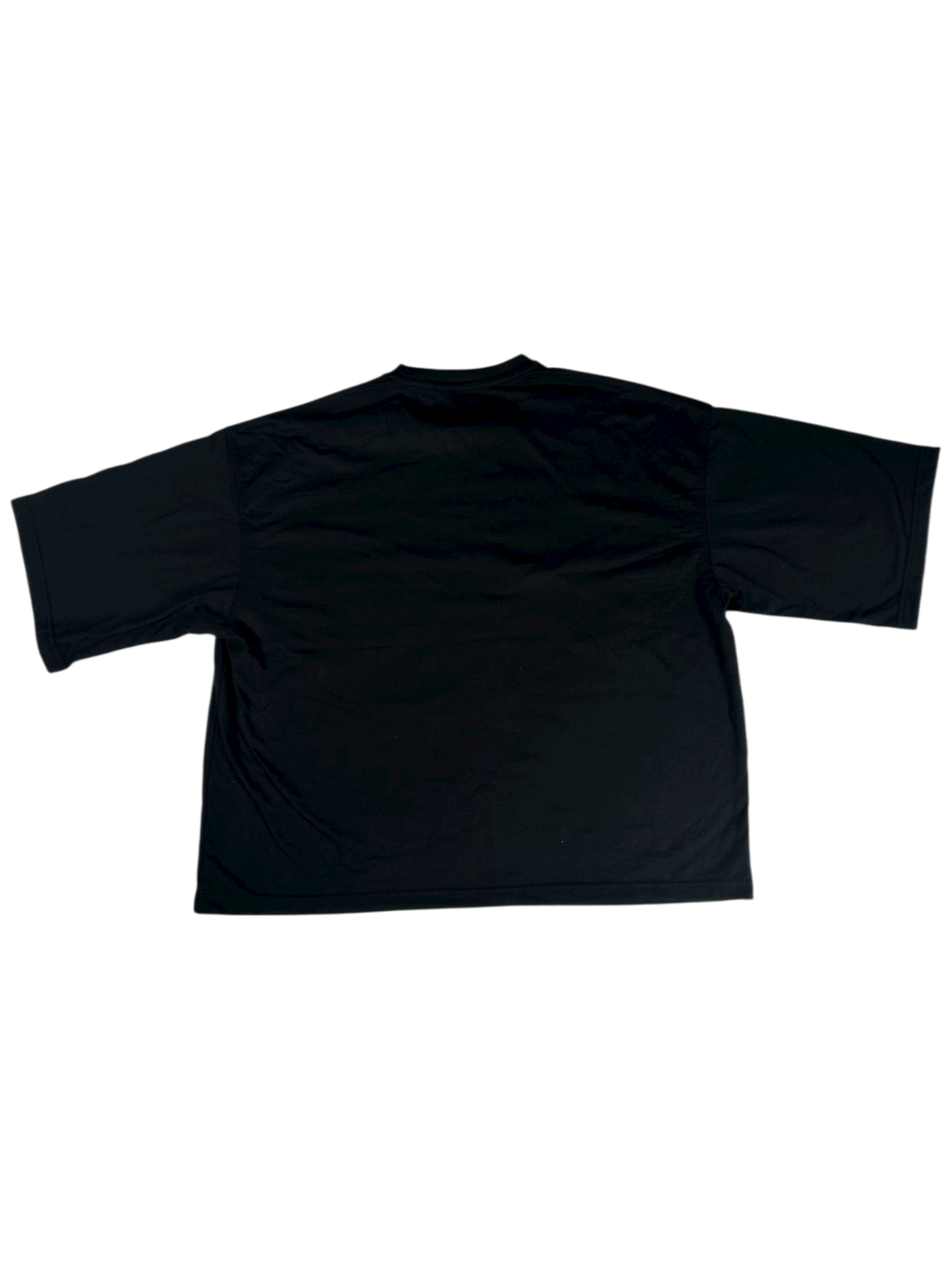 LacunaExpress Logo Tee